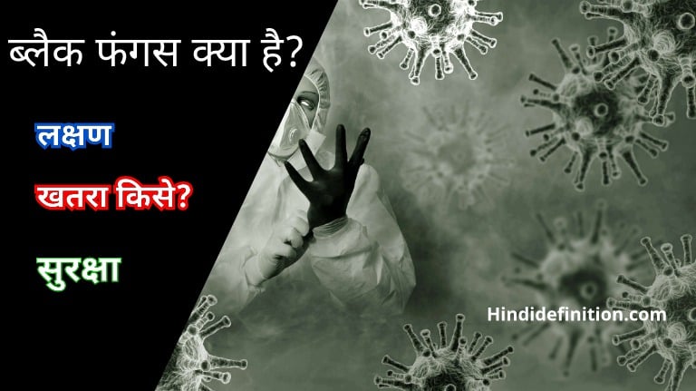 ब्लैक फंगस क्या है किसे खतरा है(Black fungus in Hindi)?