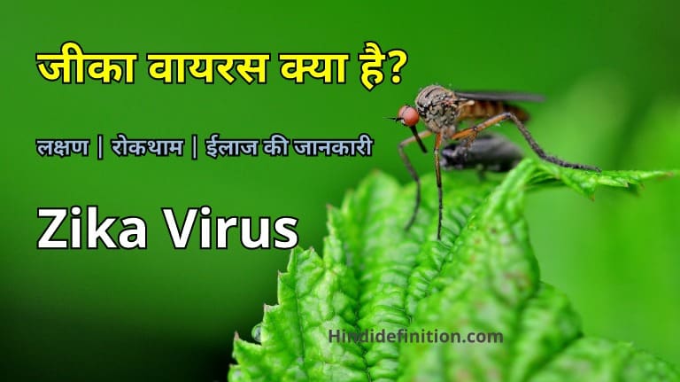 जीका वायरस क्या है? लक्षण | रोकथाम | ईलाज की जानकारी | Zika Virus