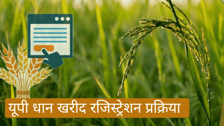 यूपी धान खरीद रजिस्ट्रेशन कैसे करे | UP Dhan Kharid Online Registration 2021